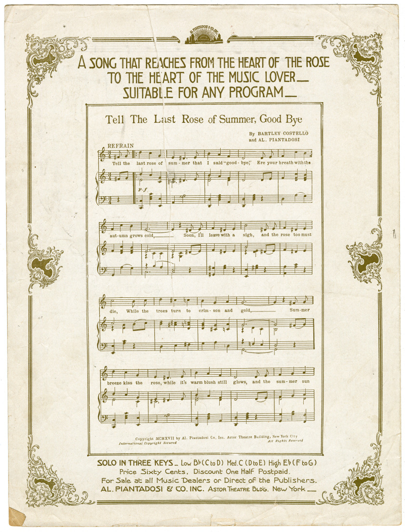 16683-Thumbnail Image.jpg