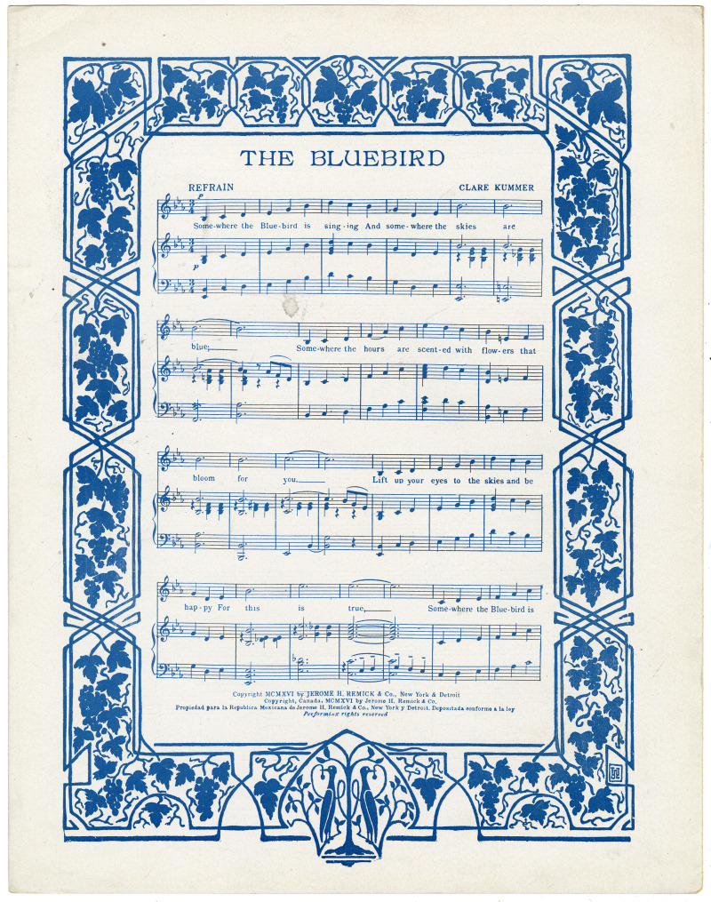 16936-Thumbnail Image.jpg