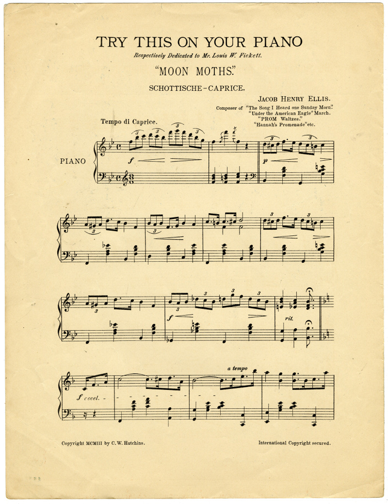 18458-Thumbnail Image.jpg