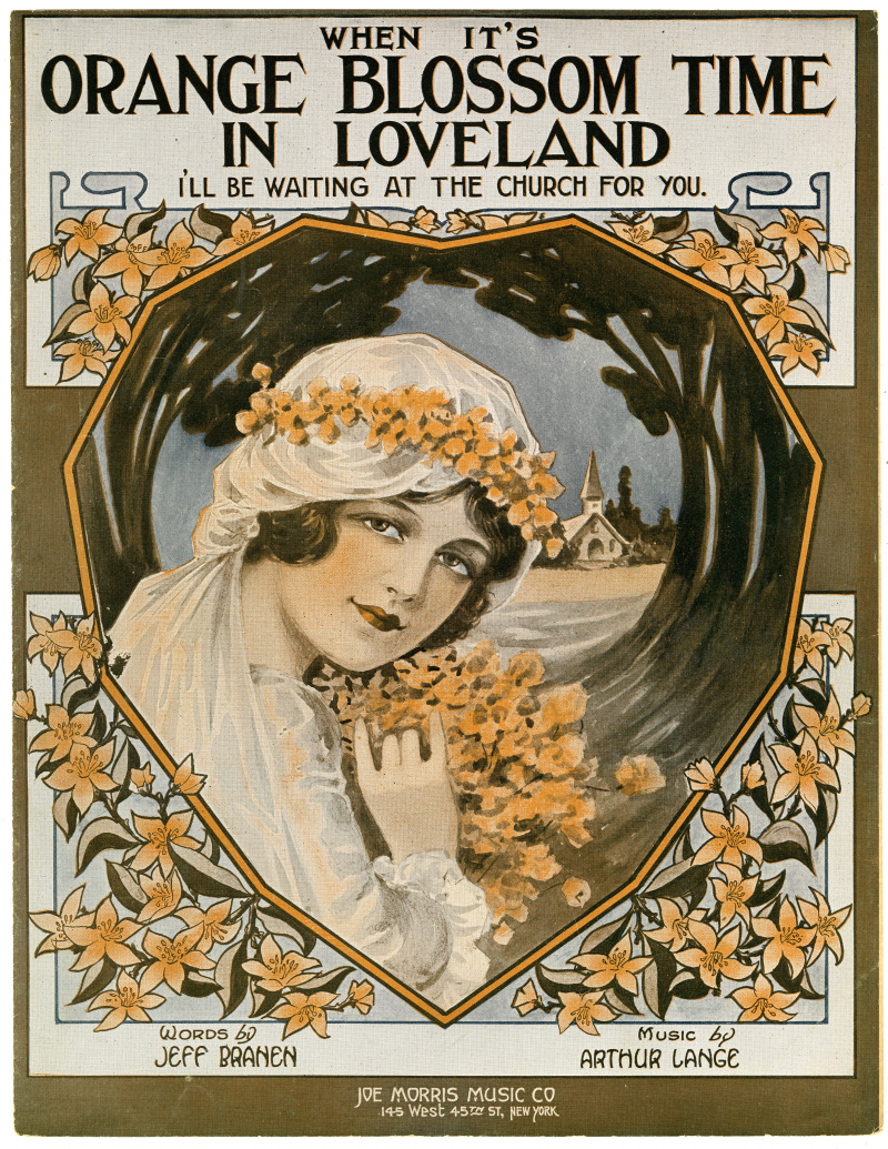 18529-Thumbnail Image.jpg