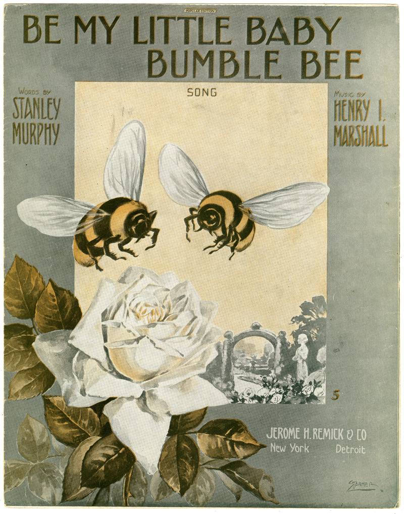 22322-Thumbnail Image.jpg