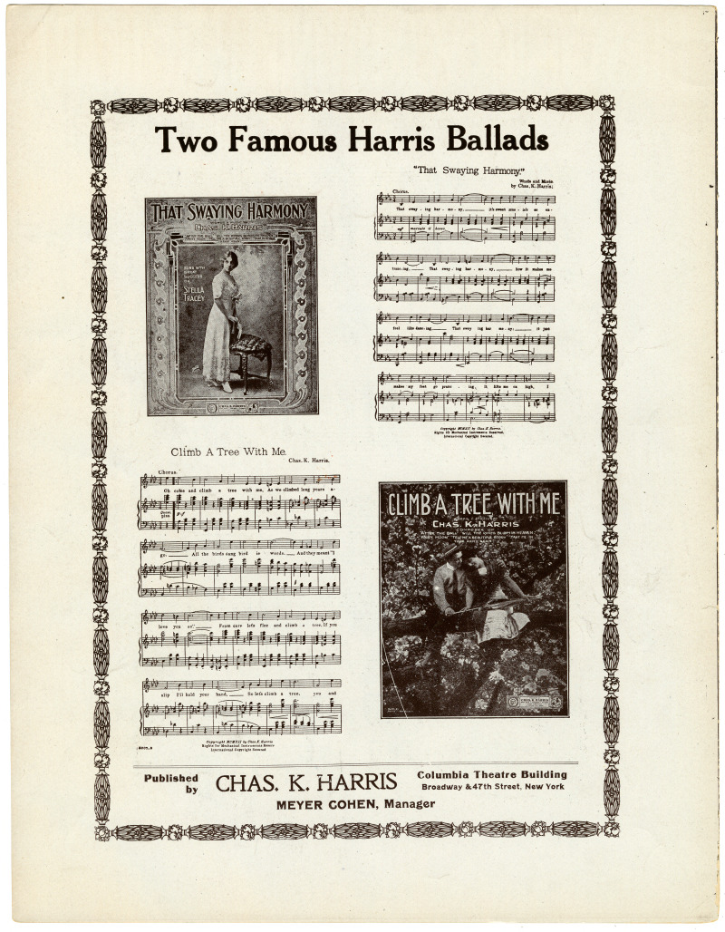 23229-Thumbnail Image.jpg