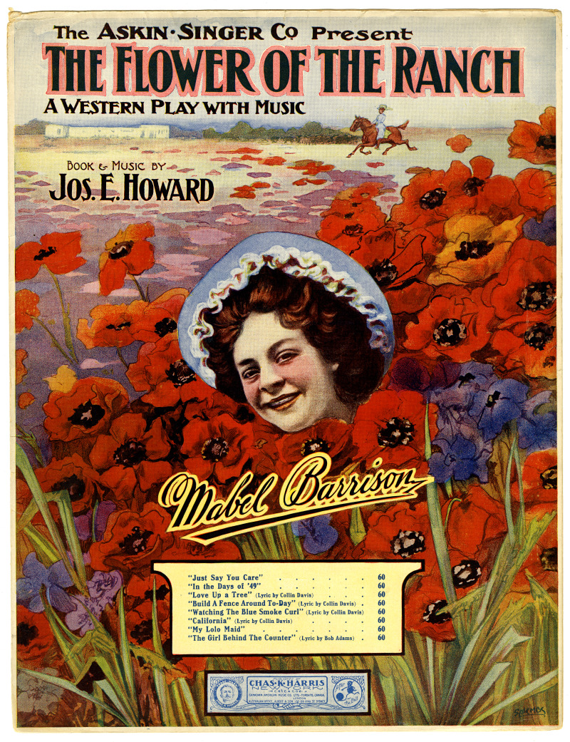 26368-Thumbnail Image.jpg