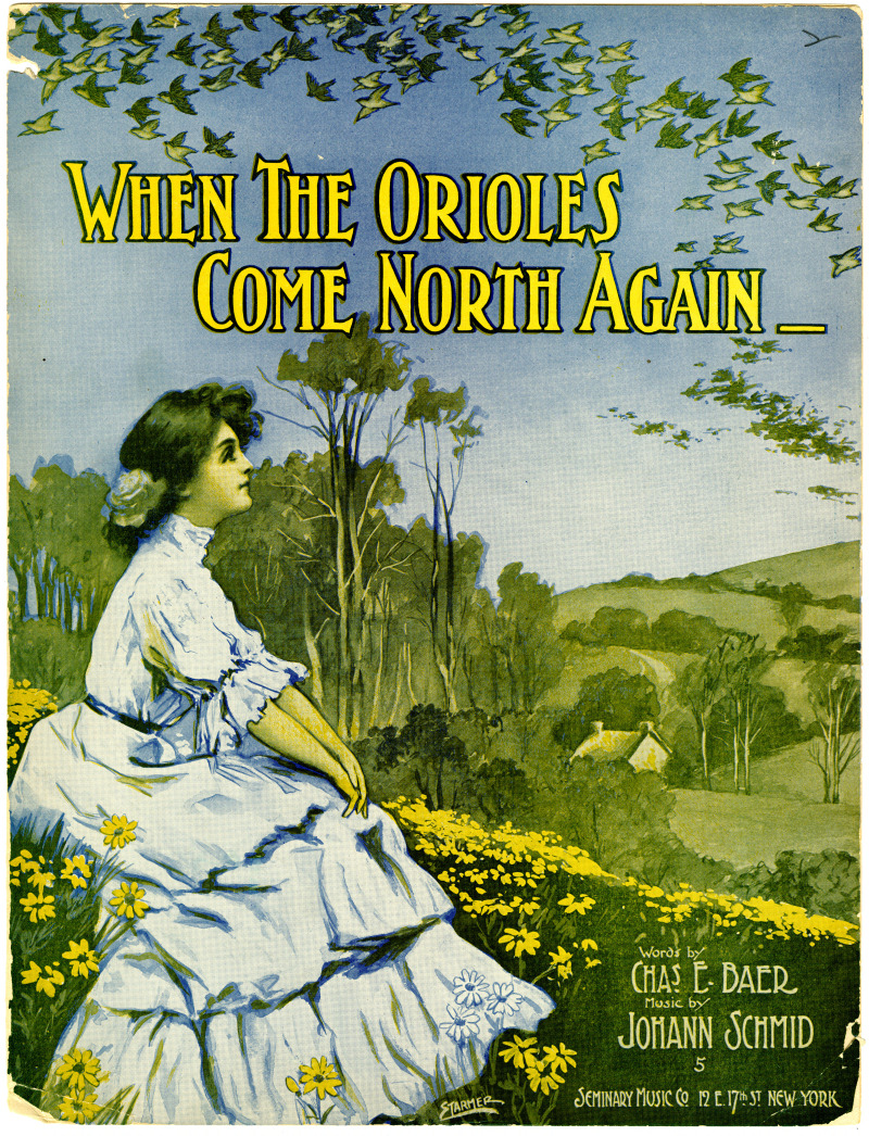 26481-Thumbnail Image.jpg