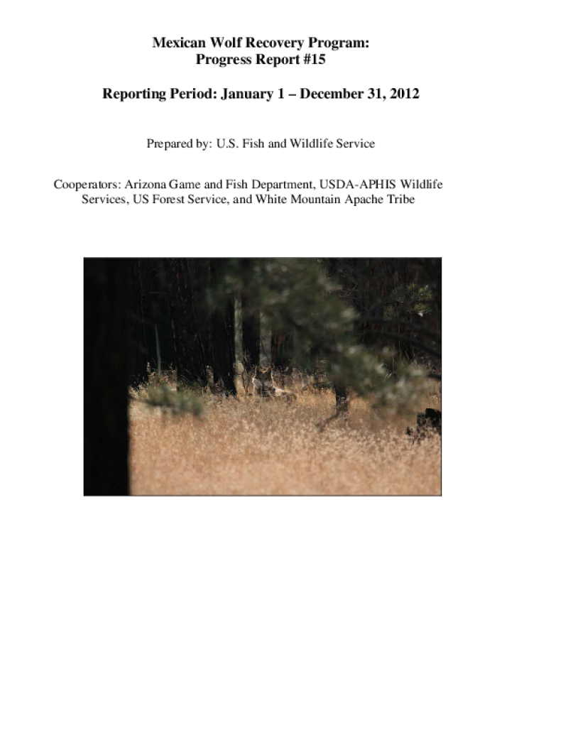 49581-Thumbnail Image.png