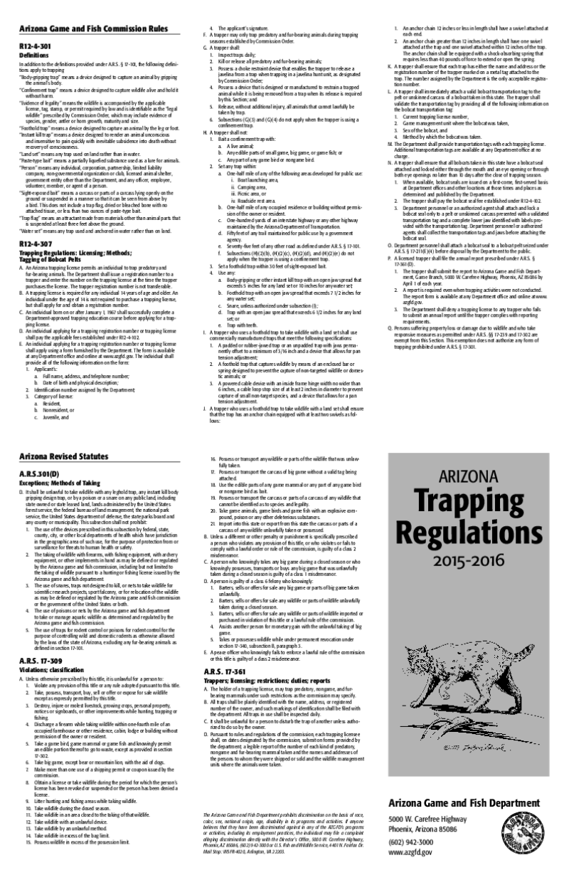 45314-Thumbnail Image.png