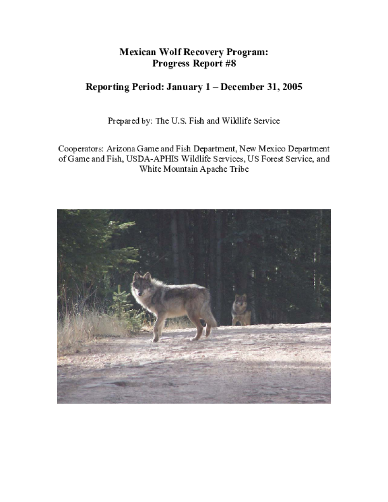 49575-Thumbnail Image.png