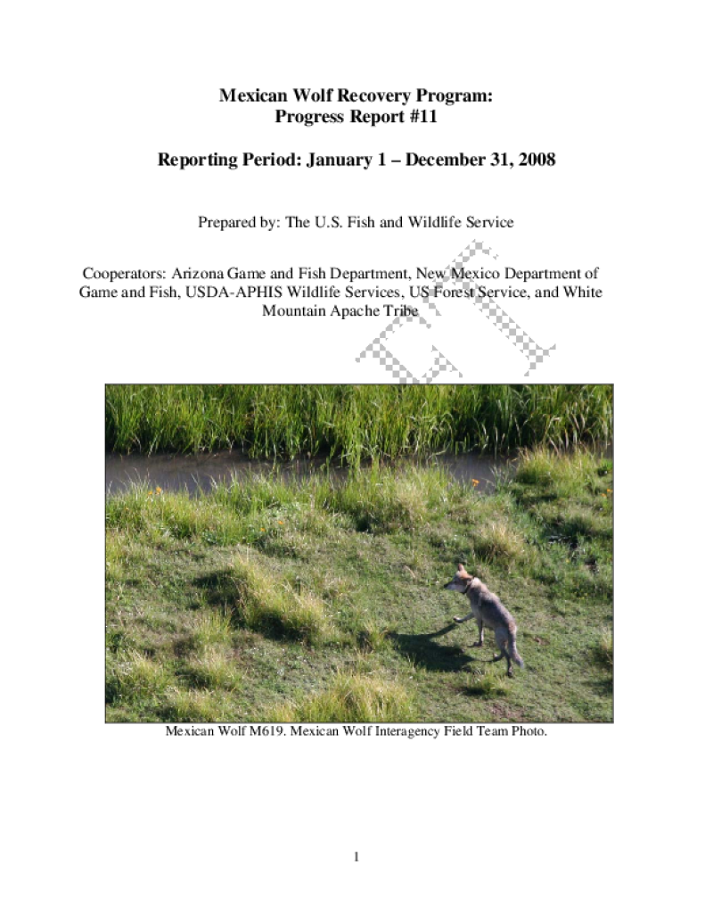 49577-Thumbnail Image.png