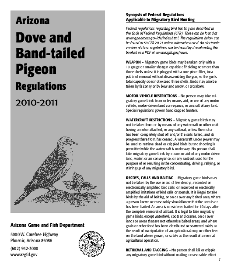 49658-Thumbnail Image.png