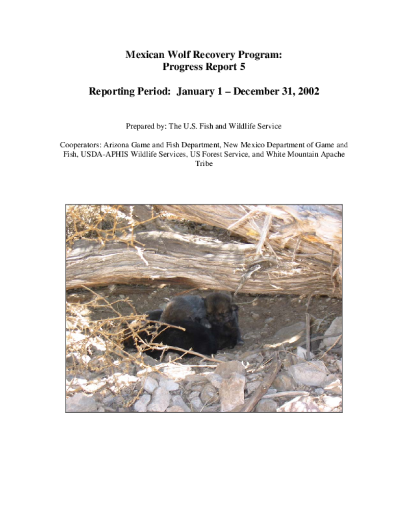 49572-Thumbnail Image.png
