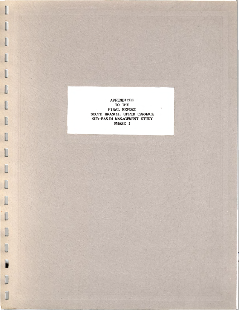 45513-Thumbnail Image.png