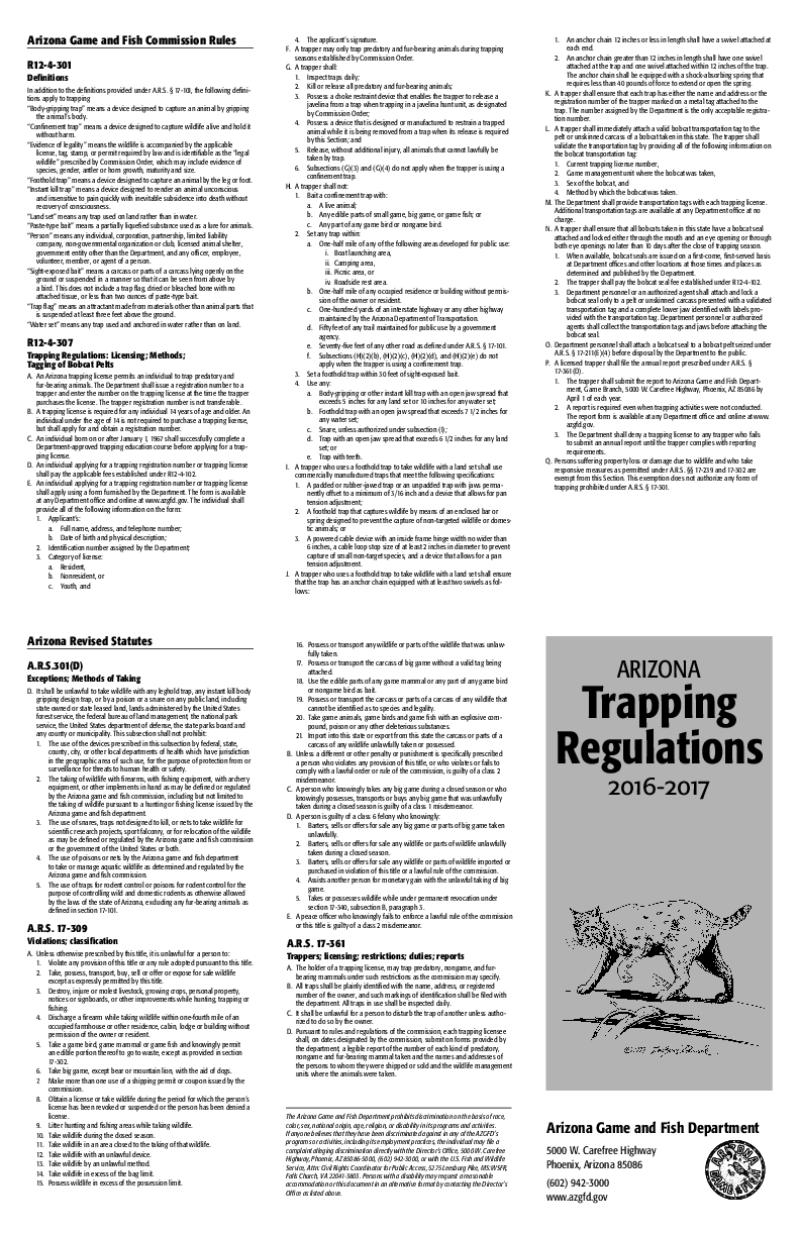 45315-Thumbnail Image.png