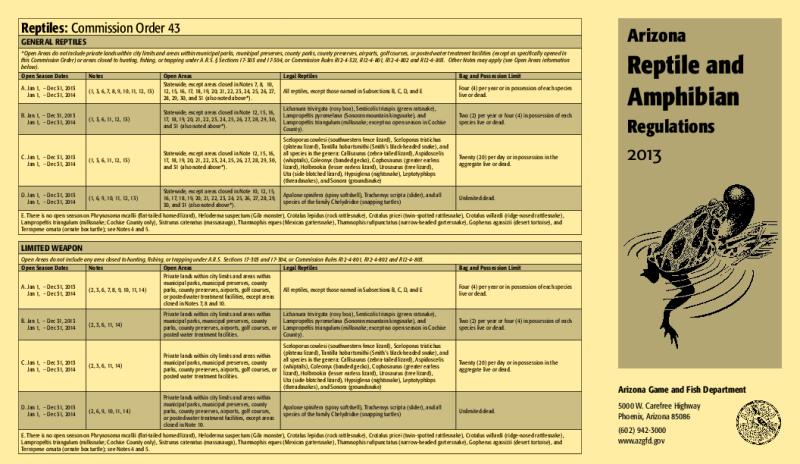 49613-Thumbnail Image.png
