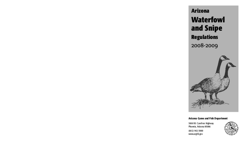 49633-Thumbnail Image.png