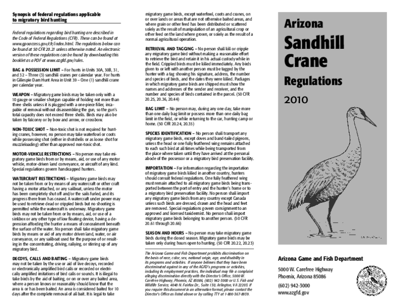 49601-Thumbnail Image.png