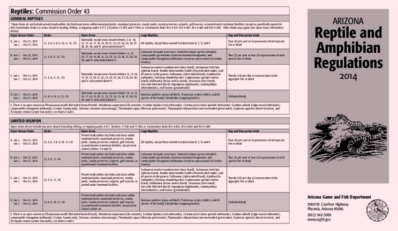 49614-Thumbnail Image.png