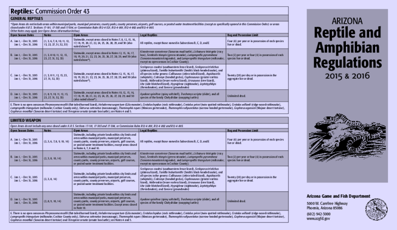 49615-Thumbnail Image.png