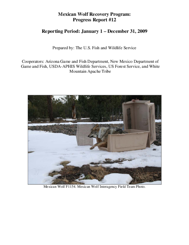 49578-Thumbnail Image.png