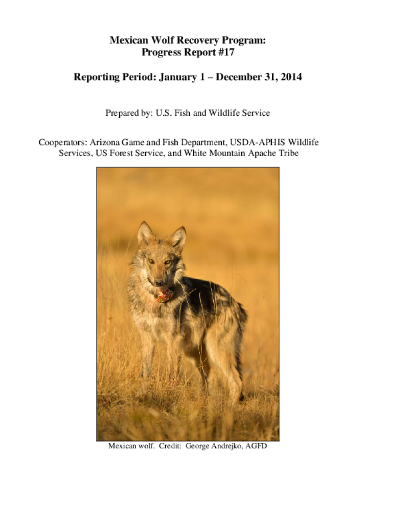 49583-Thumbnail Image.png