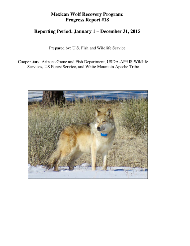 49584-Thumbnail Image.png