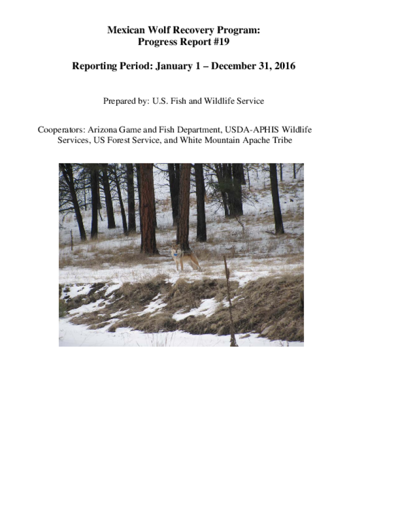 49585-Thumbnail Image.png
