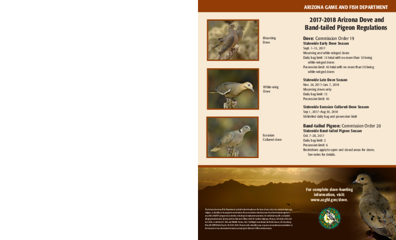 49665-Thumbnail Image.png