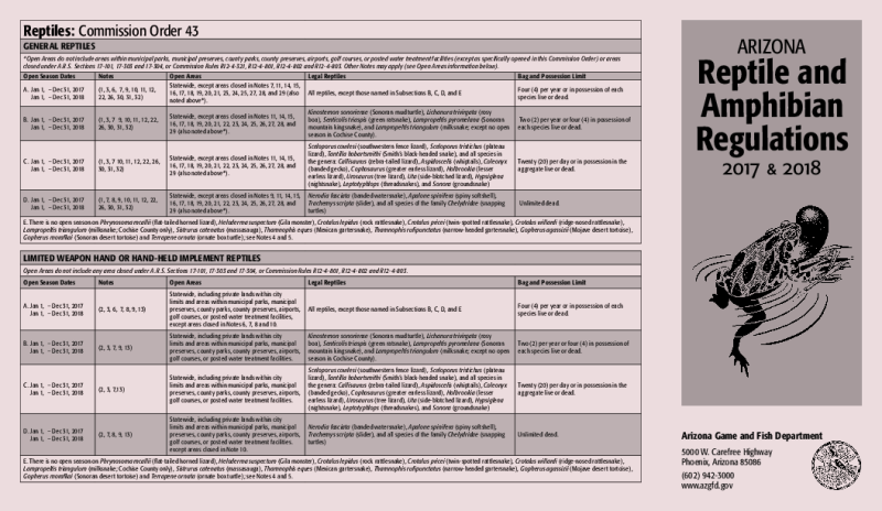 49616-Thumbnail Image.png