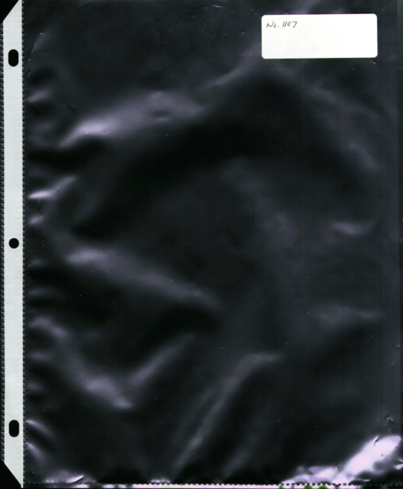 79299-Thumbnail Image.png