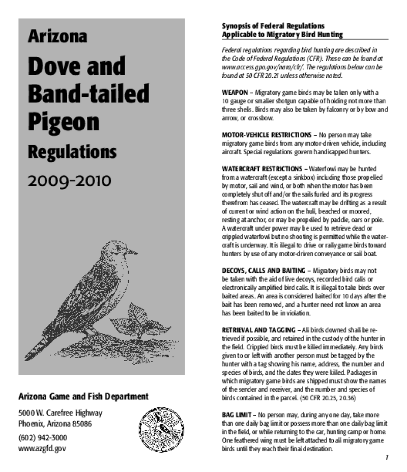 49657-Thumbnail Image.png