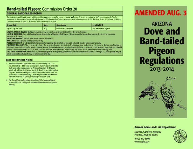 49661-Thumbnail Image.png