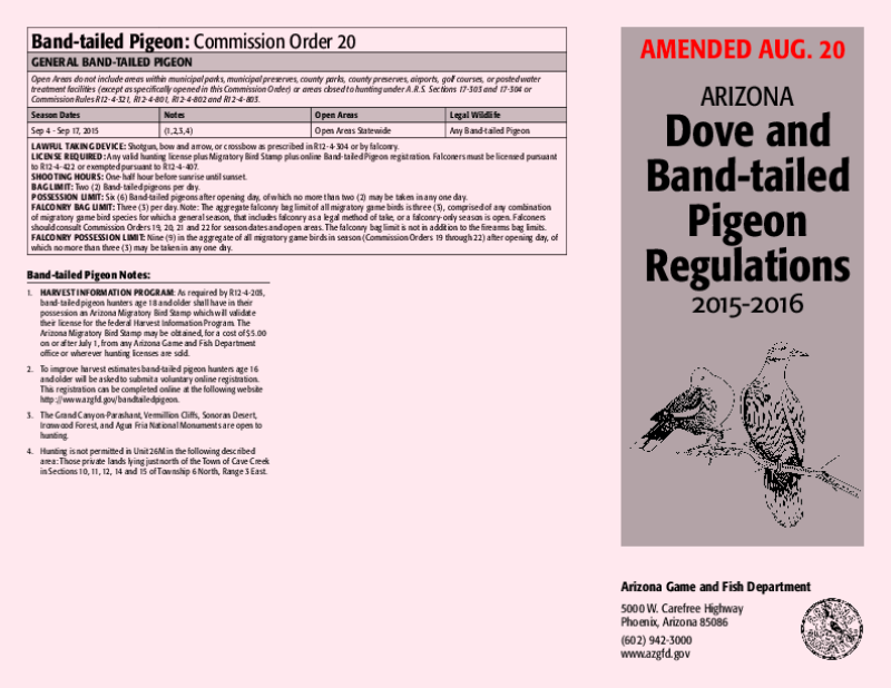 49663-Thumbnail Image.png