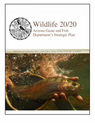 42220-Thumbnail Image.png