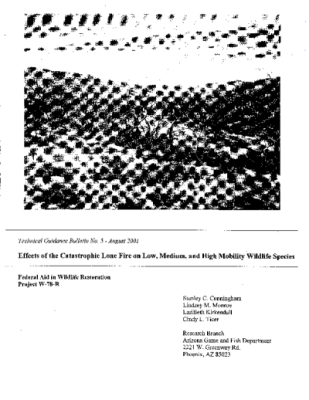 43618-Thumbnail Image.png
