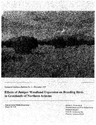 43621-Thumbnail Image.png