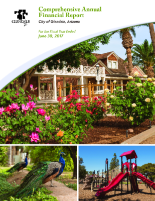 44149-Thumbnail Image.png