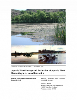 43454-Thumbnail Image.png
