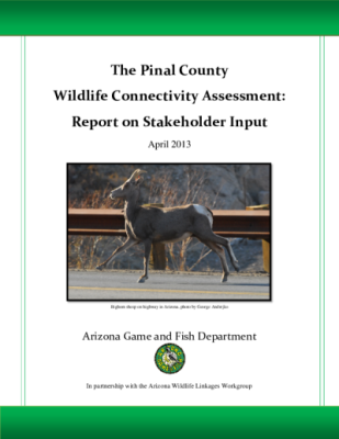 42805-Thumbnail Image.png