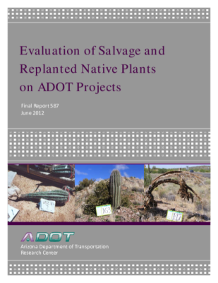 43047-Thumbnail Image.png