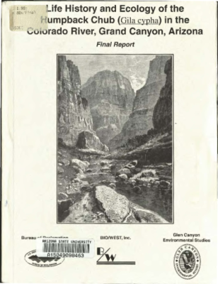 67282-Thumbnail Image.png