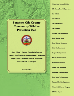 42989-Thumbnail Image.png
