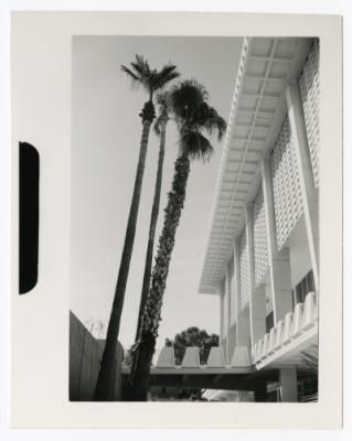 75344-Thumbnail Image.jpg