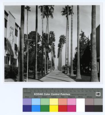 75597-Thumbnail Image.jpg