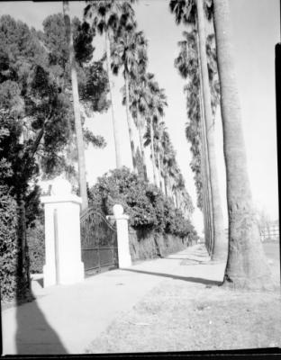 75599-Thumbnail Image.jpg