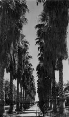 75600-Thumbnail Image.jpg