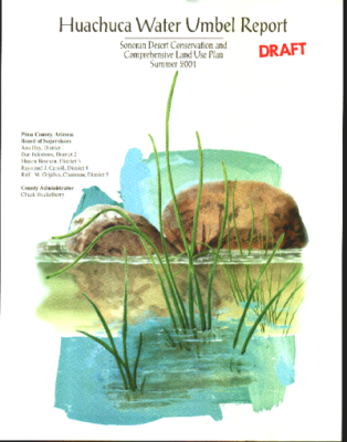 42752-Thumbnail Image.png