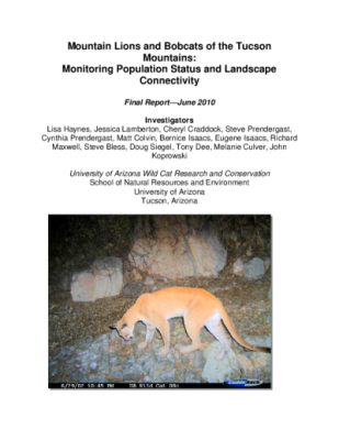 42262-Thumbnail Image.png