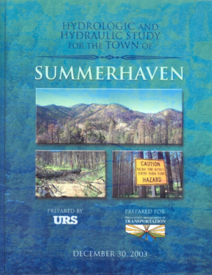 42316-Thumbnail Image.png