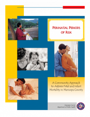 42428-Thumbnail Image.png