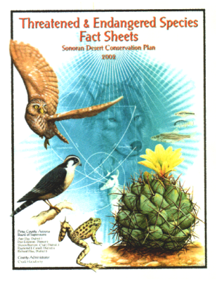 42575-Thumbnail Image.png