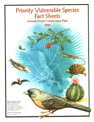 42579-Thumbnail Image.png